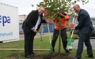 Tree planting